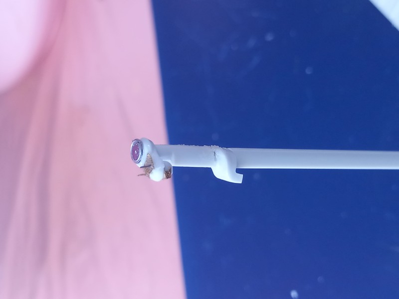 20240709_185134[1].jpg