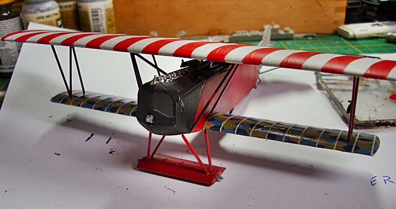 DSCI0517.JPG