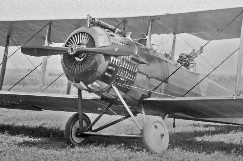 Propeller 2.jpg