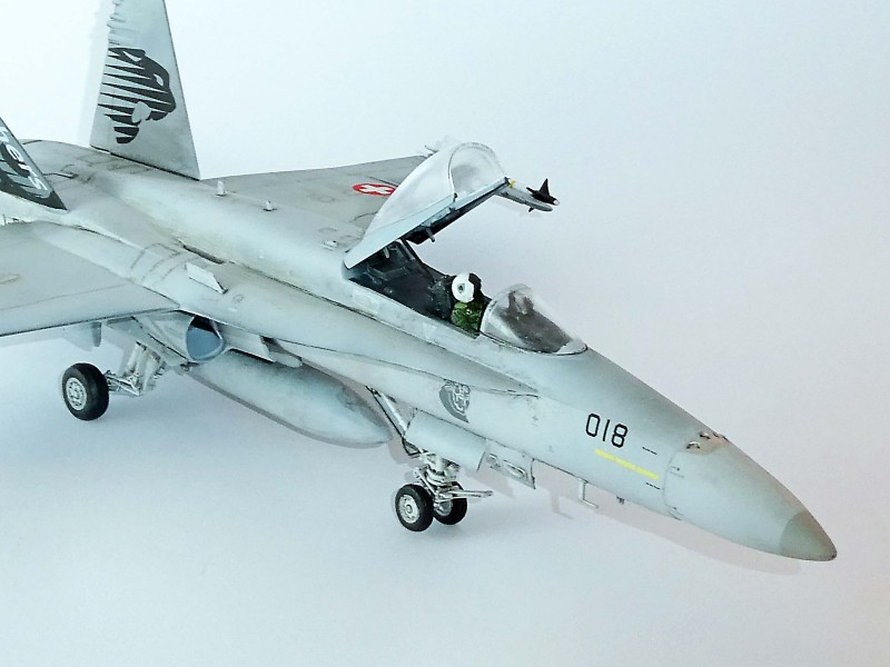 036_McDonnell Douglas FA-18C Panthers Vorne rechts.jpg