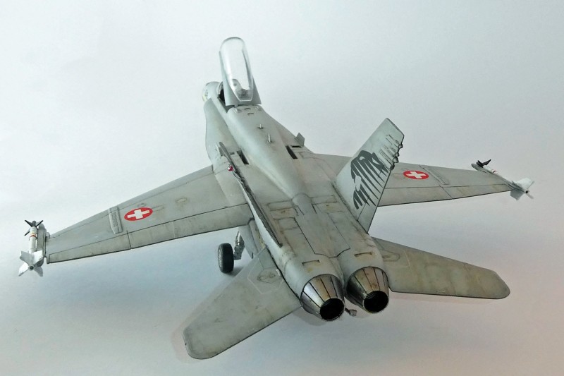 036_McDonnell Douglas FA-18C Panthers Hinten.jpg