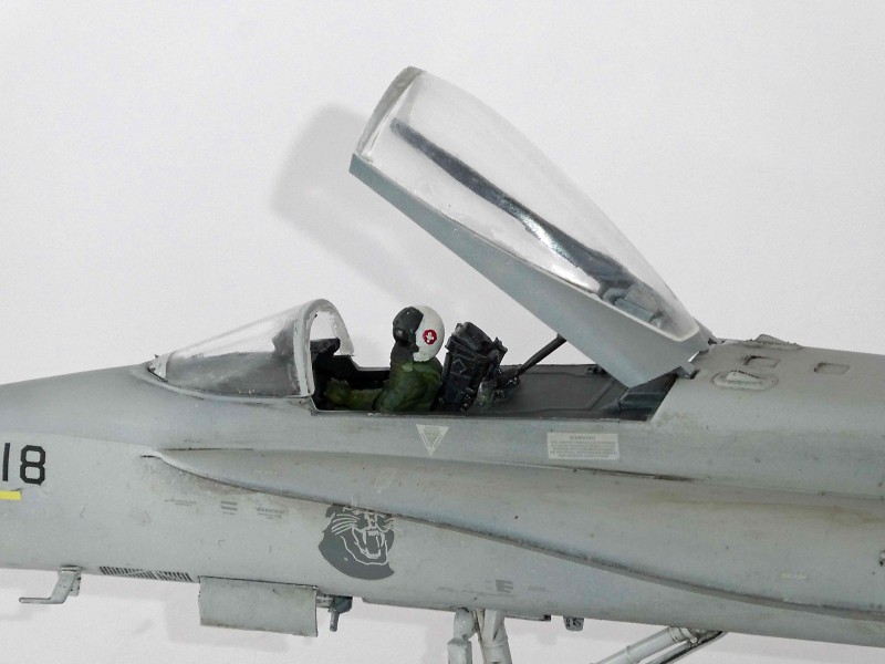 036_McDonnell Douglas FA-18C Panthers Detail Pilot (1).jpg