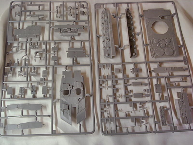 DSCI0557.JPG
