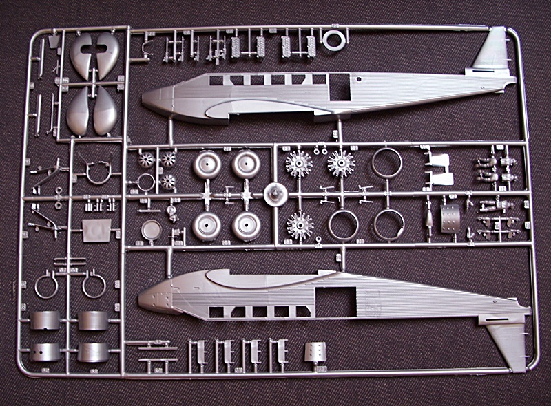 DSCI0563.JPG