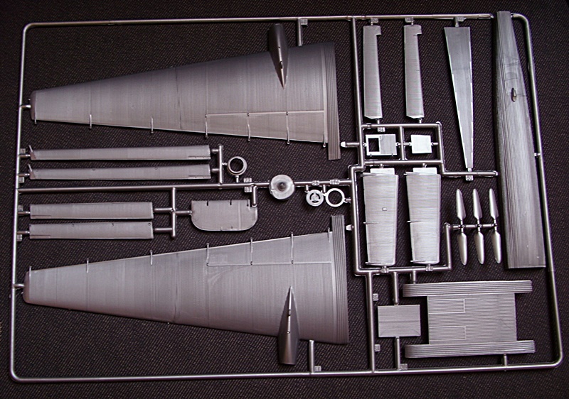 DSCI0566.JPG