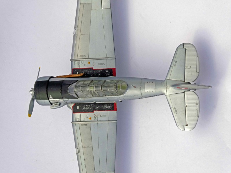 038_Harvard_Texan_Oben.jpg