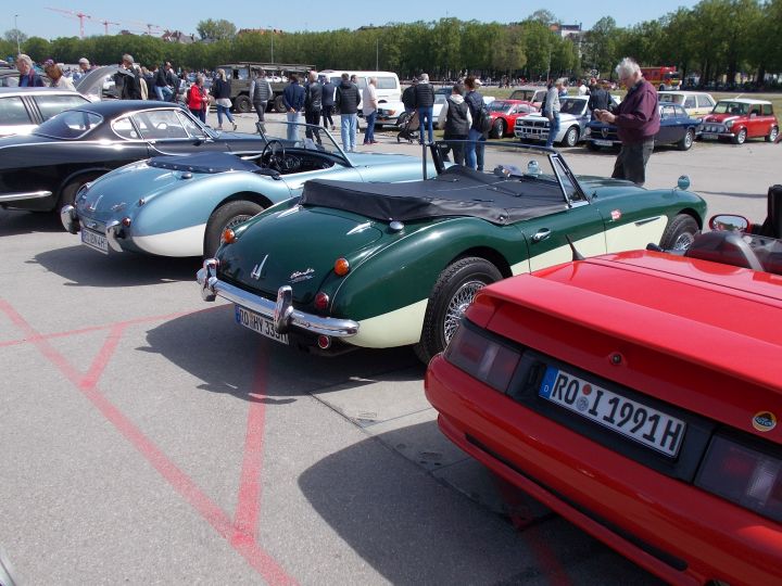 Lotus_03d.jpg