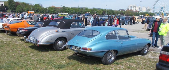 Jaguar_08a.jpg