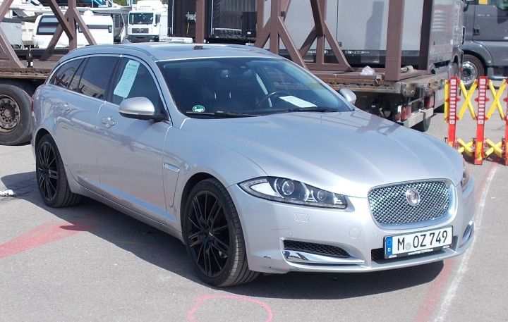 Jaguar_Est_01a.jpg