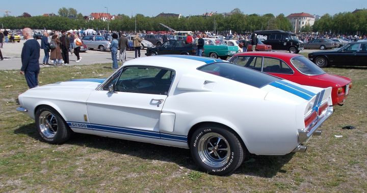 Mustang_10b.jpg