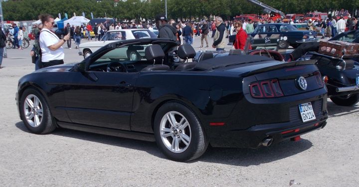 Mustang_11b.jpg