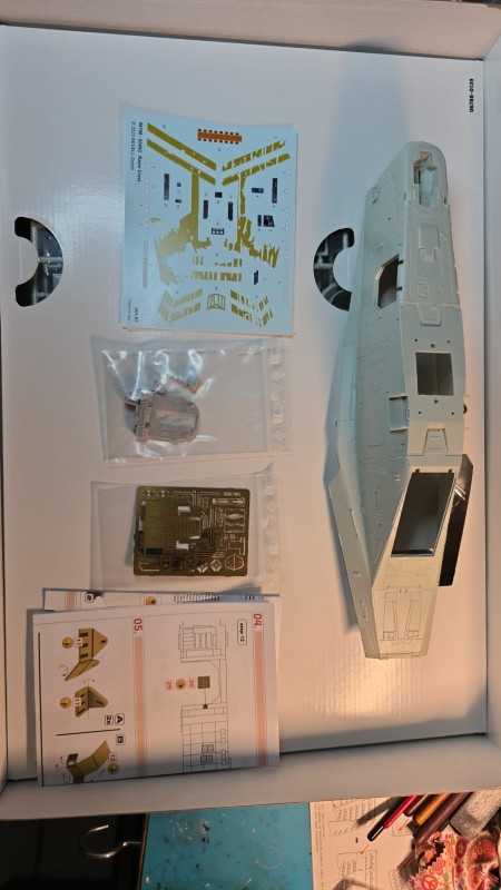 WhatsApp Image 2026-01-26 at 17.47.19.jpeg